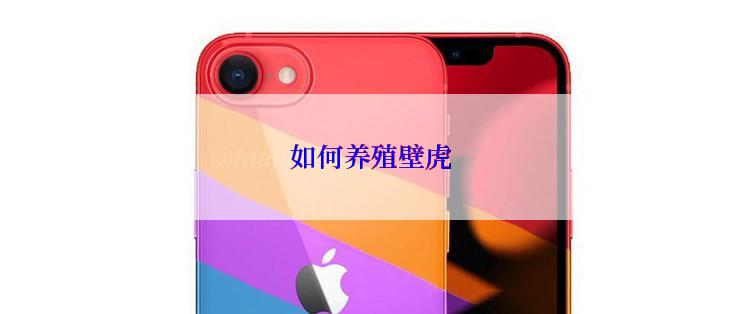 如何养殖壁虎