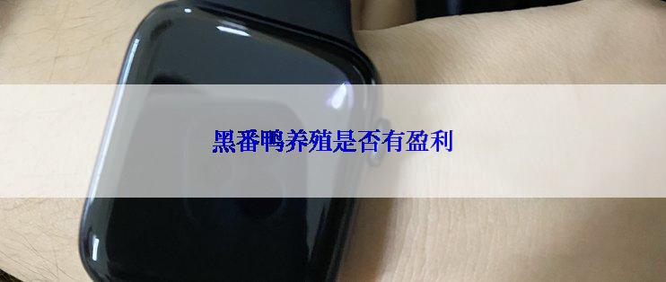 黑番鸭养殖是否有盈利