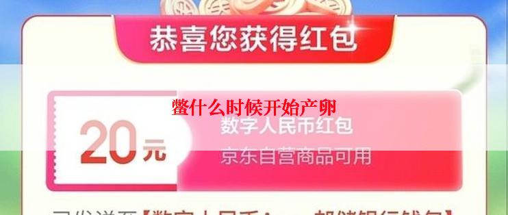 鳖什么时候开始产卵