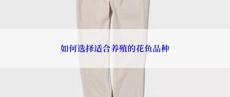 如何选择适合养殖的花鱼品种