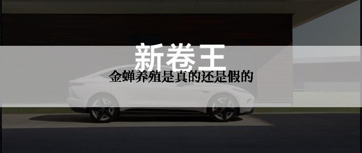 金蝉养殖是真的还是假的