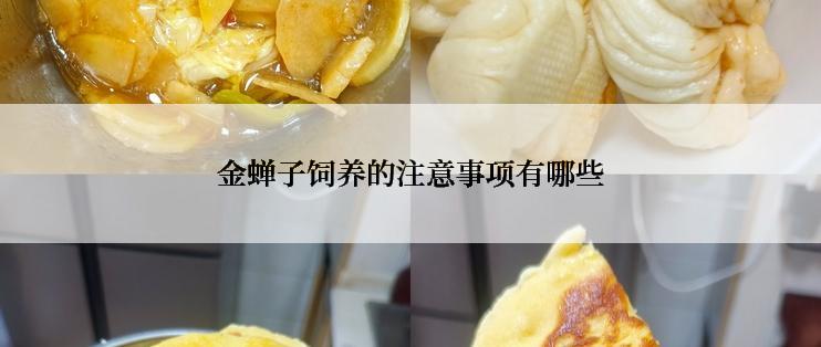 金蝉子饲养的注意事项有哪些