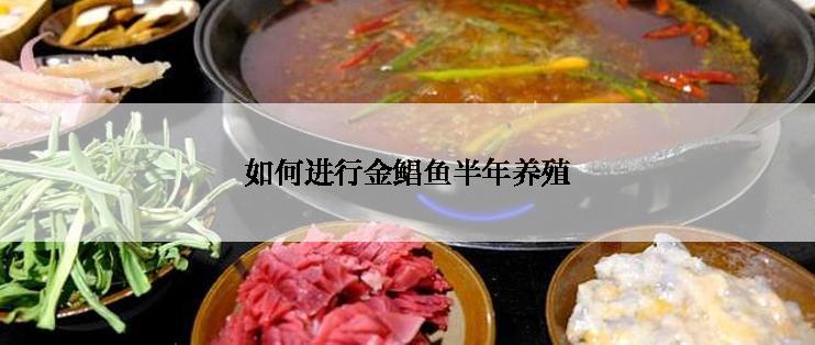 如何进行金鲳鱼半年养殖