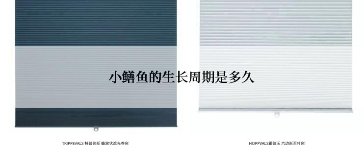 小鳝鱼的生长周期是多久