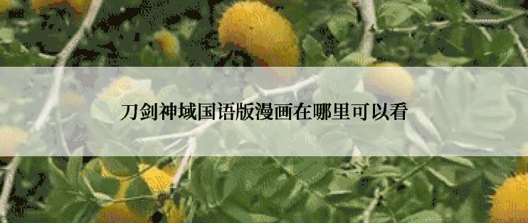 刀剑神域国语版漫画在哪里可以看