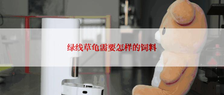 绿线草龟需要怎样的饲料
