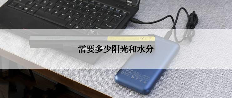 需要多少阳光和水分