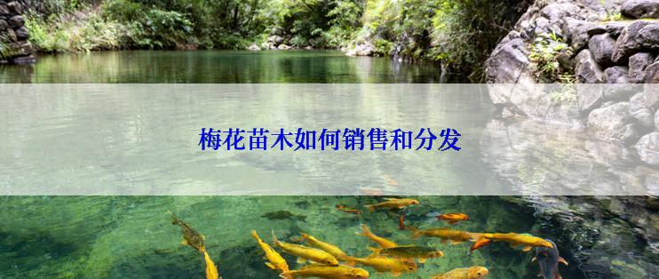 梅花苗木如何销售和分发