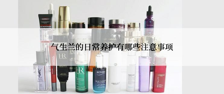 气生兰的日常养护有哪些注意事项