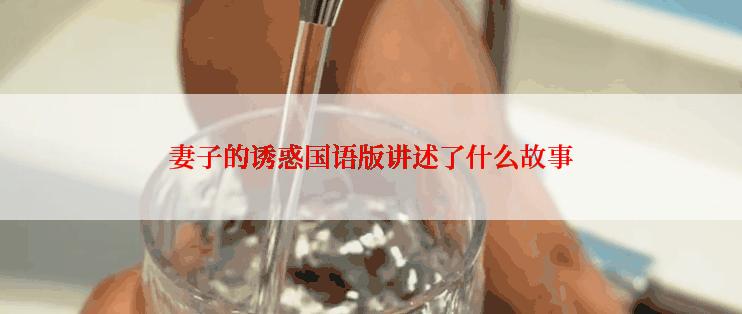 妻子的诱惑国语版讲述了什么故事