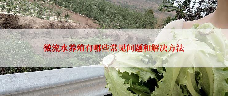微流水养殖有哪些常见问题和解决方法