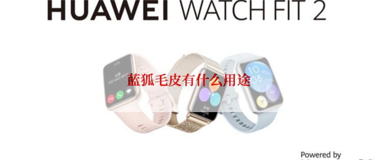 蓝狐毛皮有什么用途