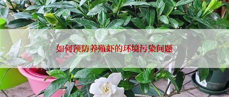 如何预防养殖虾的环境污染问题