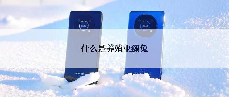 什么是养殖业獭兔