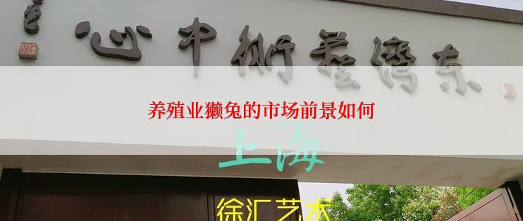 养殖业獭兔的市场前景如何