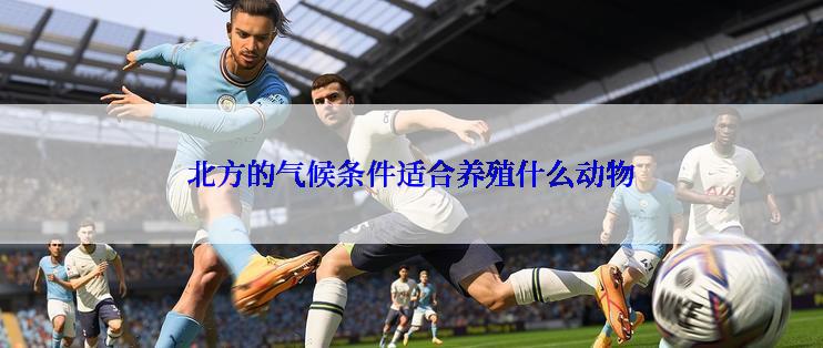 北方的气候条件适合养殖什么动物