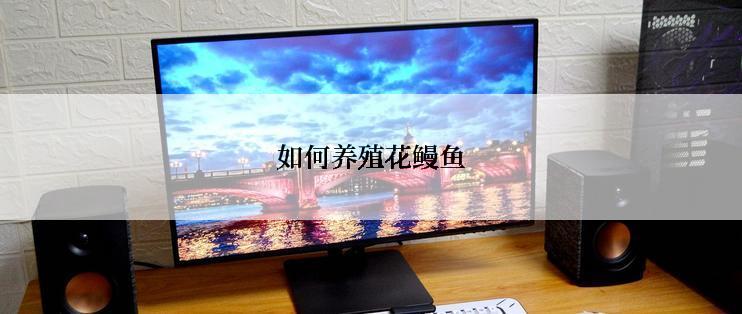 如何养殖花鳗鱼
