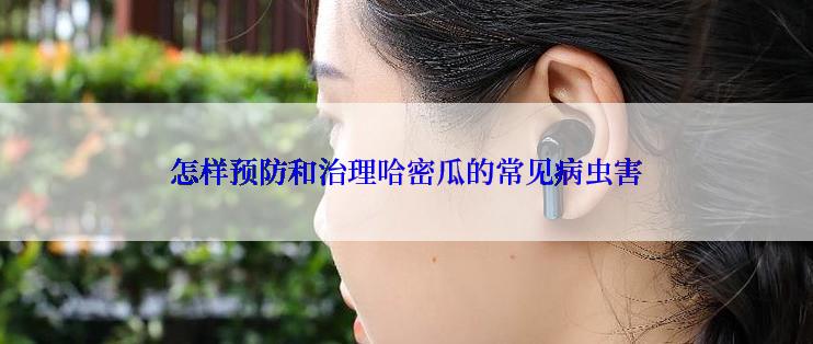 怎样预防和治理哈密瓜的常见病虫害