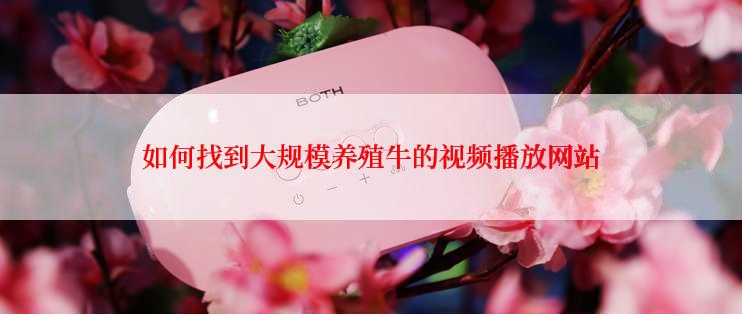 如何找到大规模养殖牛的视频播放网站
