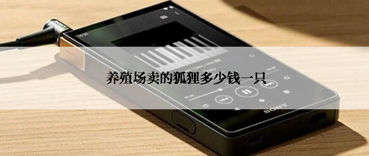  养殖场卖的狐狸多少钱一只