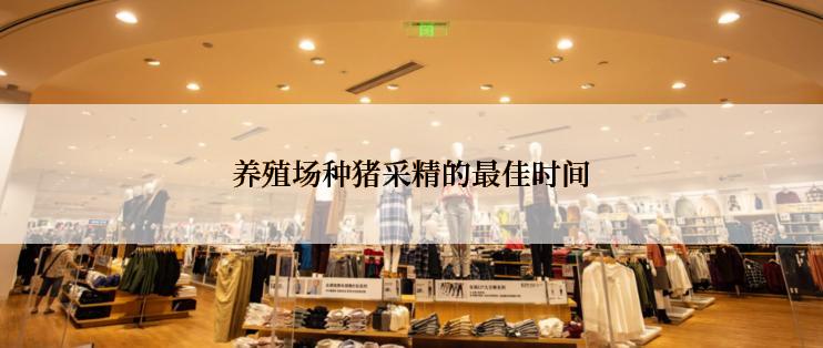 养殖场种猪采精的最佳时间