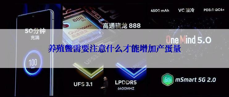 养殖鳖需要注意什么才能增加产蛋量