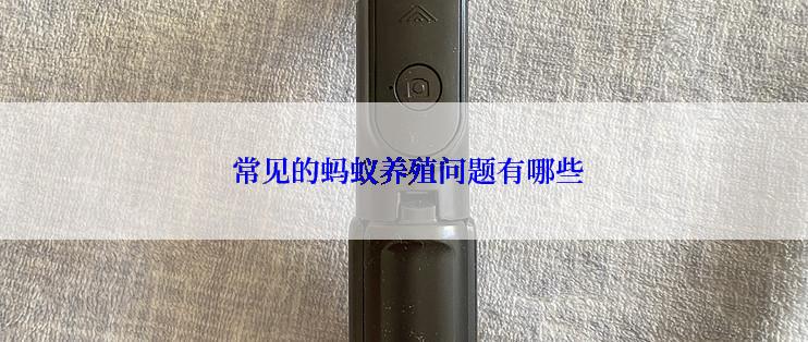  常见的蚂蚁养殖问题有哪些