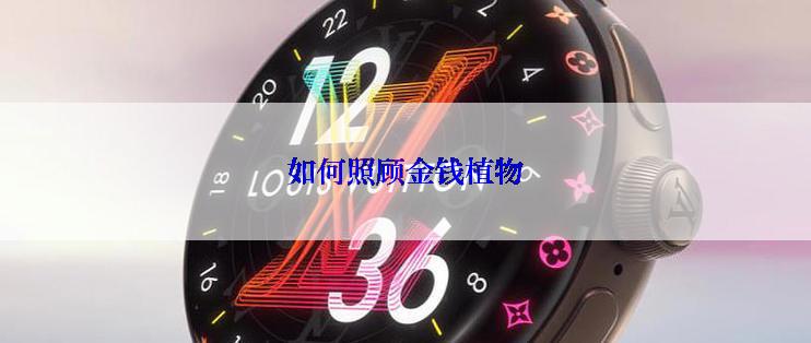 如何照顾金钱植物