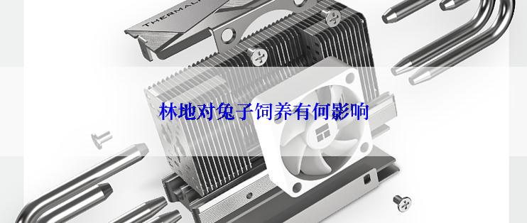 林地对兔子饲养有何影响