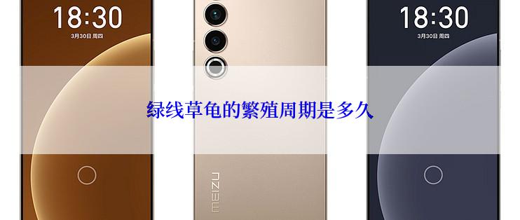 绿线草龟的繁殖周期是多久