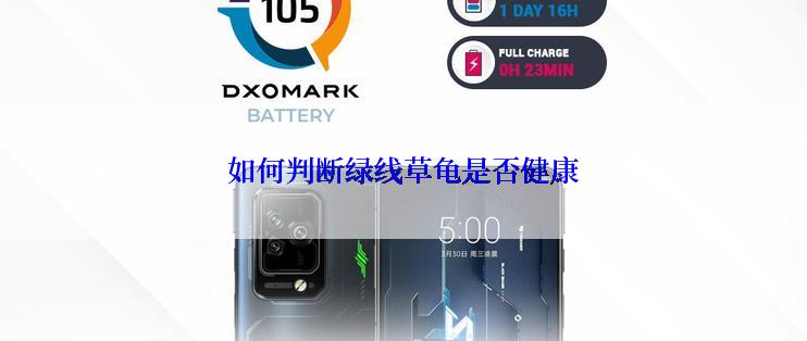如何判断绿线草龟是否健康