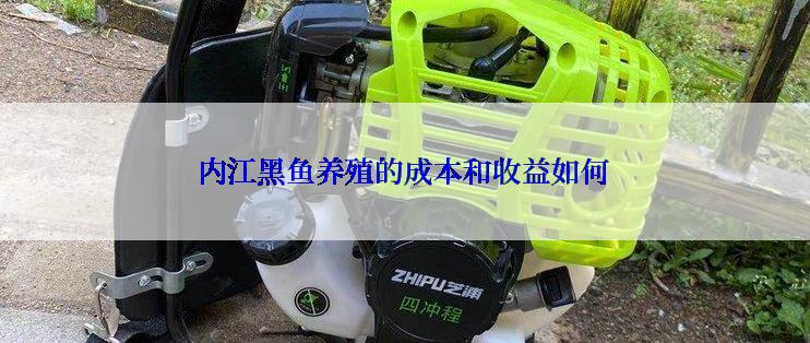 内江黑鱼养殖的成本和收益如何