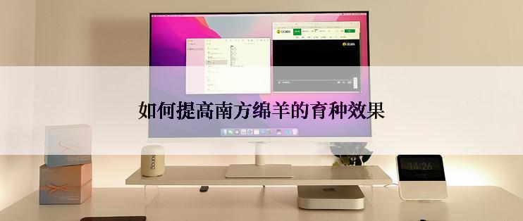 如何提高南方绵羊的育种效果