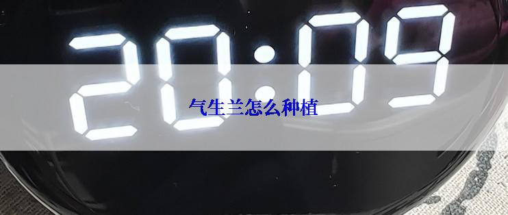 气生兰怎么种植