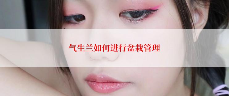 气生兰如何进行盆栽管理