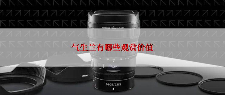 气生兰有哪些观赏价值