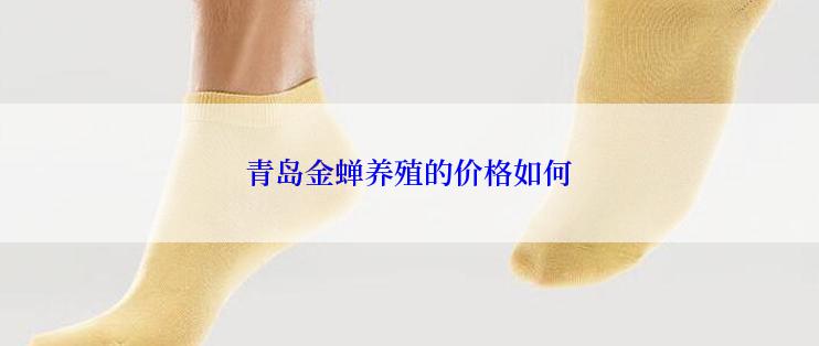 青岛金蝉养殖的价格如何