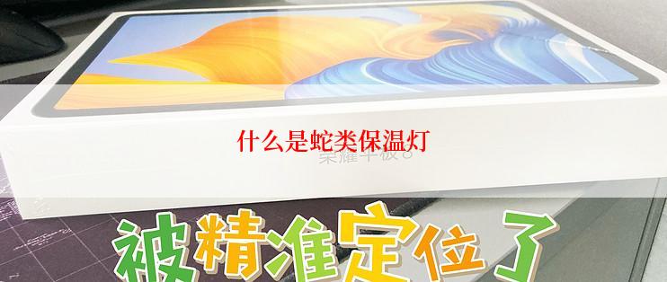 什么是蛇类保温灯