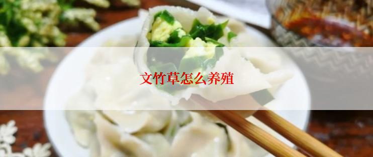 文竹草怎么养殖