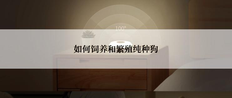 如何饲养和繁殖纯种狗
