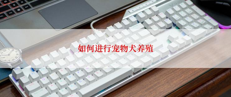 如何进行宠物犬养殖