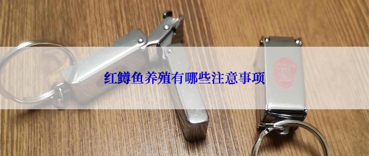 红鳟鱼养殖有哪些注意事项