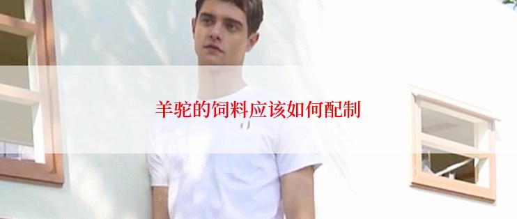 羊驼的饲料应该如何配制