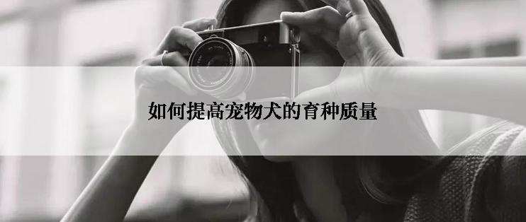 如何提高宠物犬的育种质量