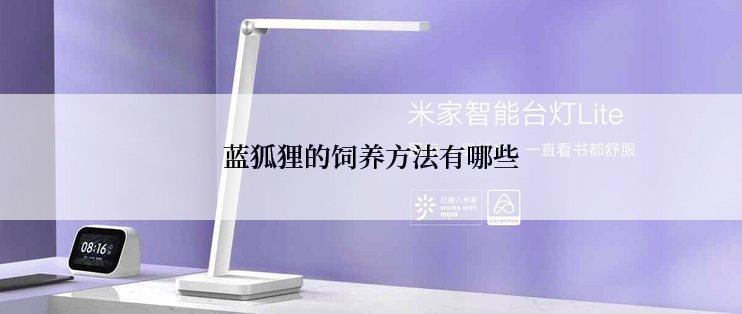 蓝狐狸的饲养方法有哪些