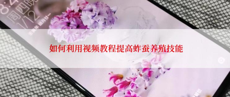  如何利用视频教程提高蚱蚕养殖技能