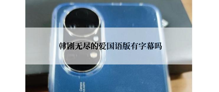  韩剧无尽的爱国语版有字幕吗