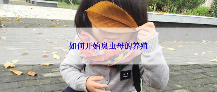 如何开始臭虫母的养殖