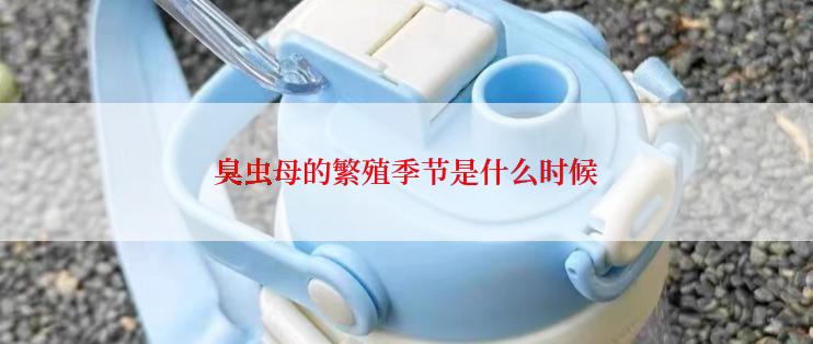 臭虫母的繁殖季节是什么时候