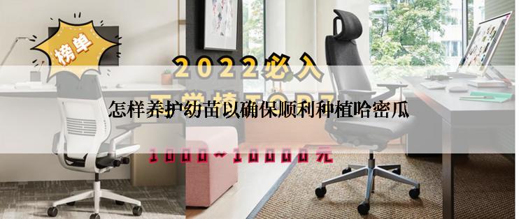 怎样养护幼苗以确保顺利种植哈密瓜